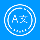 Camera Translator