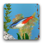 aniPet Freshwater Live WP