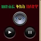 Amharic Audio Bible