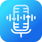 Video Voice Changer Pro