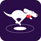 DOG VPN