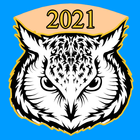 Owl VPN