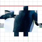 DigiPuzzle